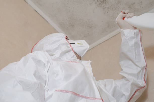 Best Mold Damage Repair  in Selbyville, DE